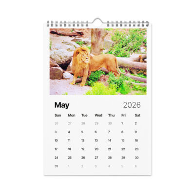 Wall calendar (2026) lions