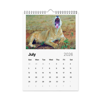 Wall calendar (2026) lions