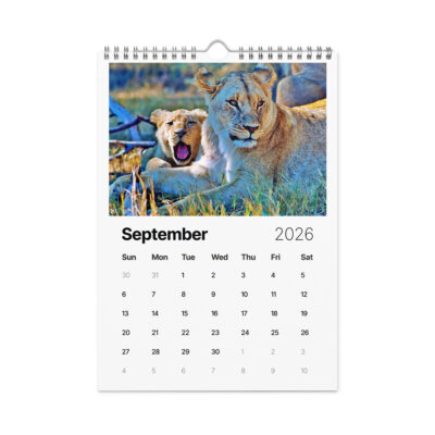 Wall calendar (2026) lions