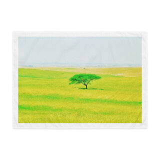 Indoor wall tapestry israel negev 1  26″×36″