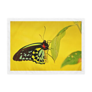 Indoor wall tapestry BUTTERFLY 2 26″×36″