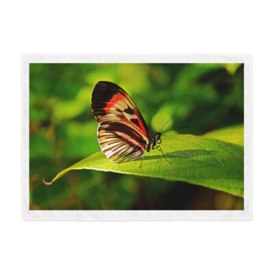 Indoor wall tapestry BUTTERFLY 4 26″×36″