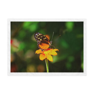 Indoor wall tapestry BUTTERFLY 5 26″×36″