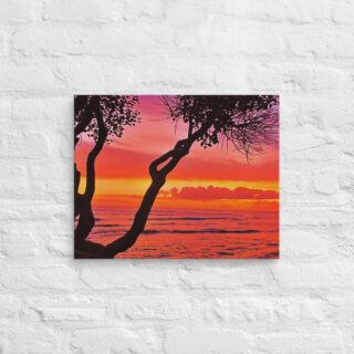 canvas-in-16x20-front-699a21ca629ff.jpg Canvas usa Oahu hawaii sunset 0009 16″×20″