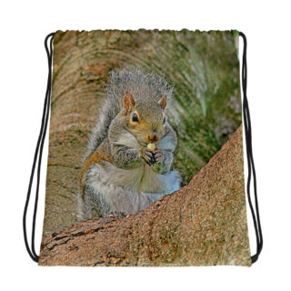 all-over-print-drawstring-bag-white-mockup-69b44b79732d6.jpg Drawstring bag squirrel 002