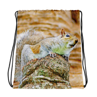 all-over-print-drawstring-bag-white-mockup-69b44be8cbf01.jpg Drawstring bag squirrel 001