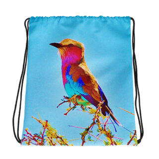 all-over-print-drawstring-bag-white-mockup-69b44cdf20fac.jpg Drawstring bag Roller 001