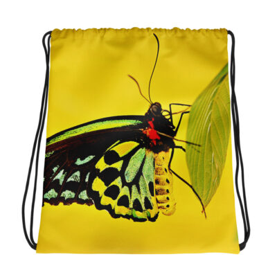 Drawstring bag butterfly 001