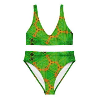 Recycled high-waisted bikini bold and beautiful 007