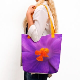 All-Over Print Crop Tee bold and beautiful 001