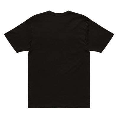 Cotton Heritage MC1082 I Men's Premium Short Sleeve Tee Israel Kinneret sea of galilee 001