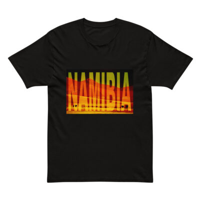 Cotton Heritage MC1082 I Men's Premium Short Sleeve Tee world t-shirt Namibia sossusvlei 002