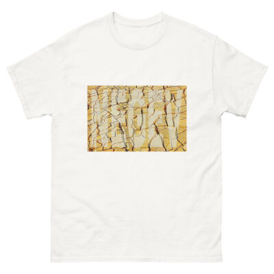Unisex classic tee israel negev 002