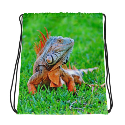 Drawstring bag iguanas 001