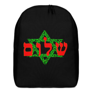 Minimalist Backpack Israel 001