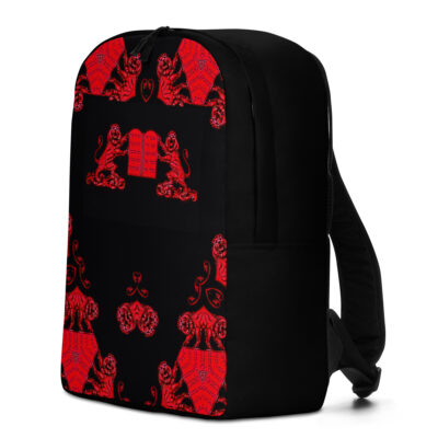 Minimalist Backpack Israel 009