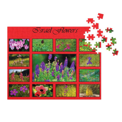 Jigsaw puzzle with tin Israel 009