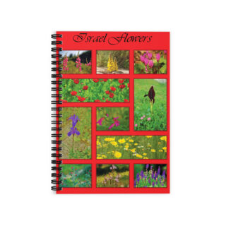 Ruled Line Spiral Notebook  Israel 015