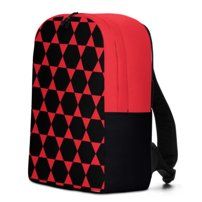 Minimalist Backpack Israel 015